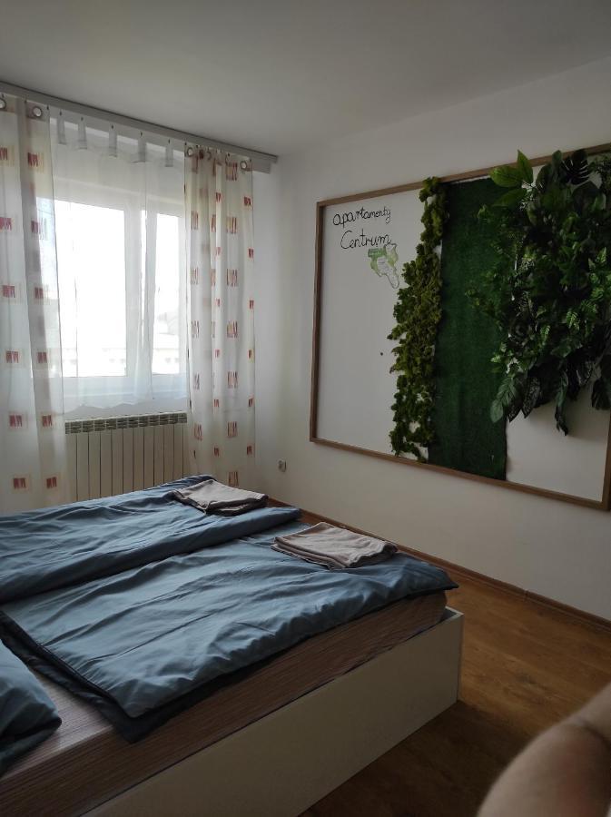 Apartamenty Centrum Валбжих Екстериор снимка